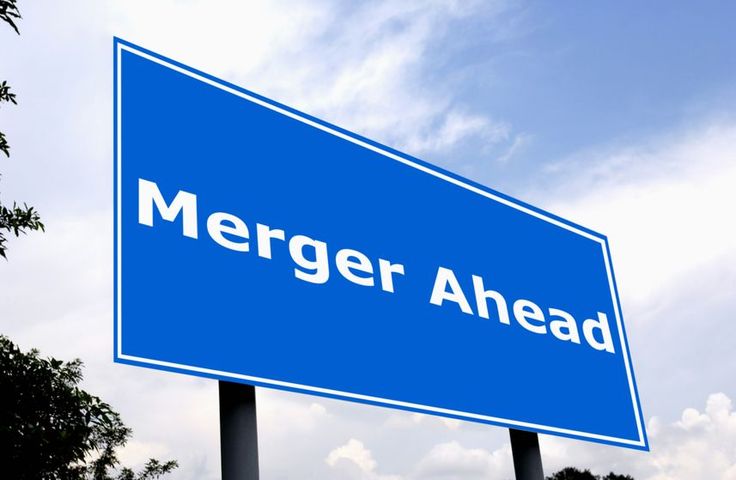 Best Merger Decision for Your Small Business