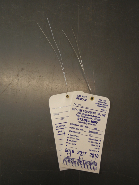 Our plastic tags have the option of having wires included or prewired.