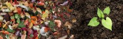 Food Waste Bin Labels
