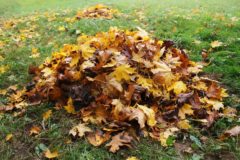 Yard Waste Stickers